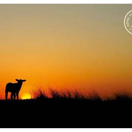 Am Suedwaeldchen 3* Westerland