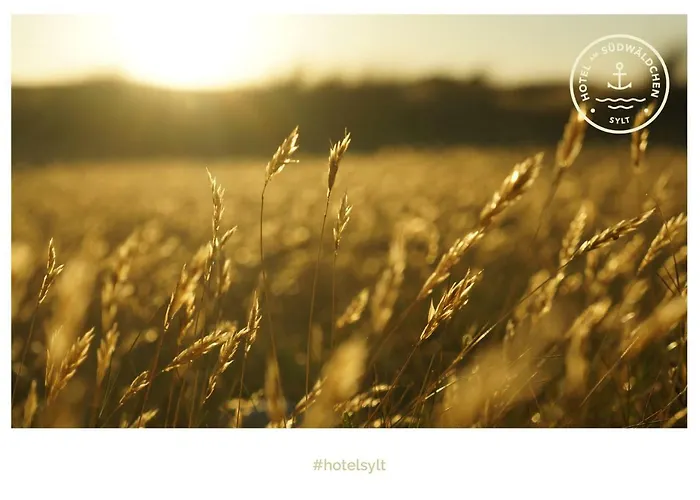 Hotel Am Suedwaeldchen